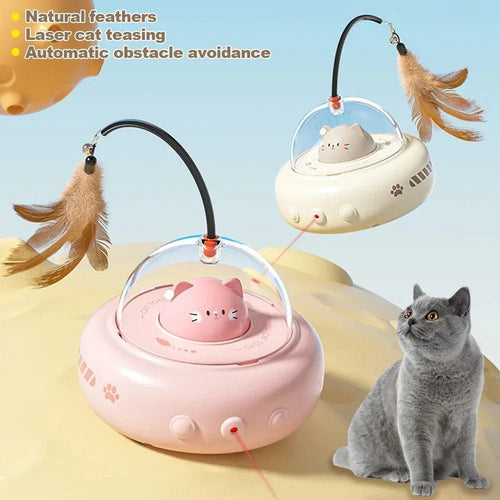 Cat Essentials