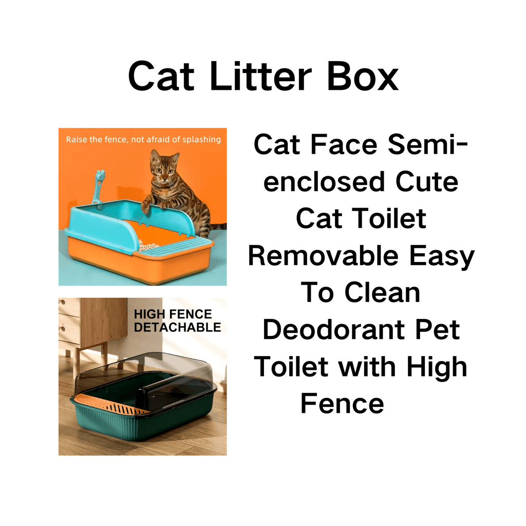 Kitten Starter Kit with Home Essentials – view 2