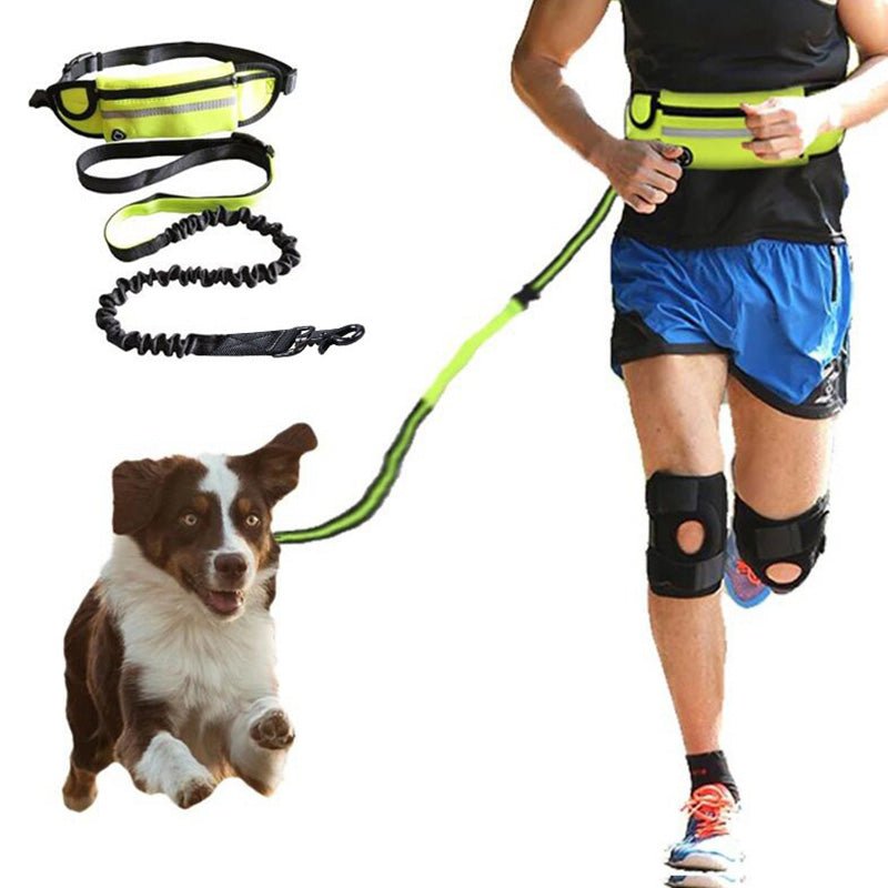 Hands-free bungee dog leash with an adjustable waist belt