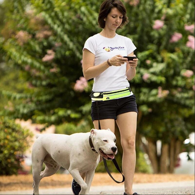 Hands-free bungee dog leash with waist belt — product view 4
