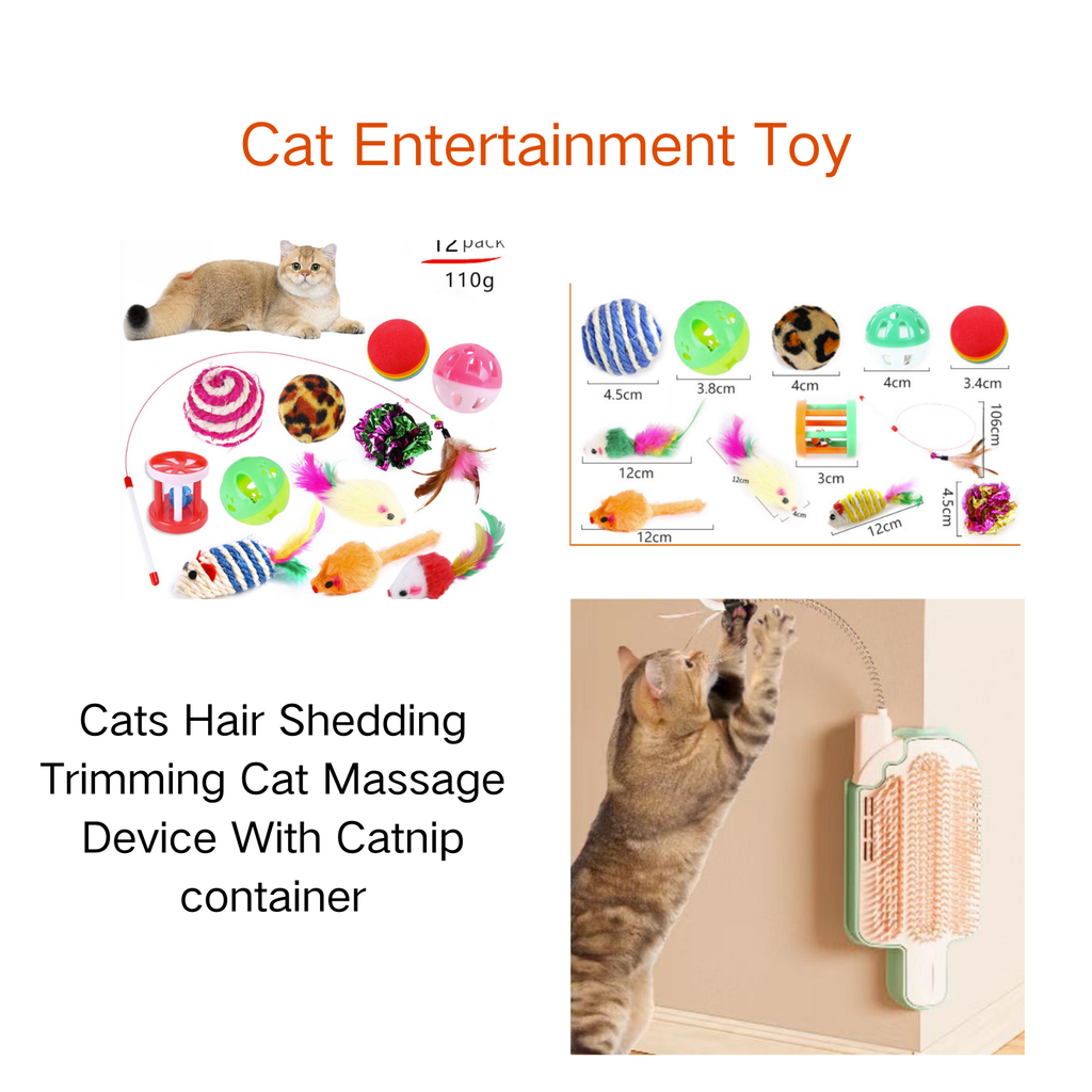 Kitten Starter Kit with Home Essentials – view 6