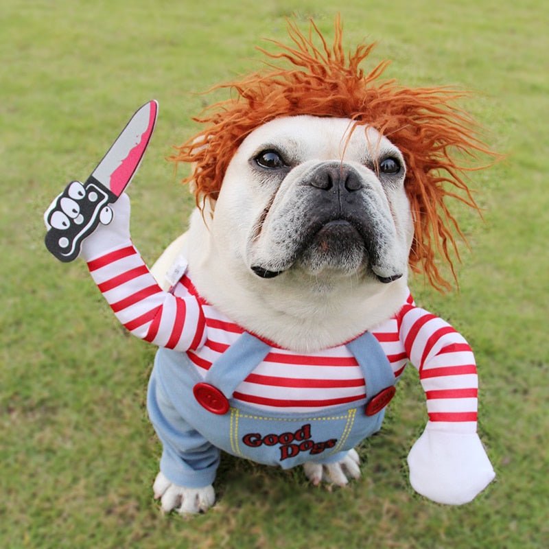 Adjustable Halloween dog costume — product view 2
