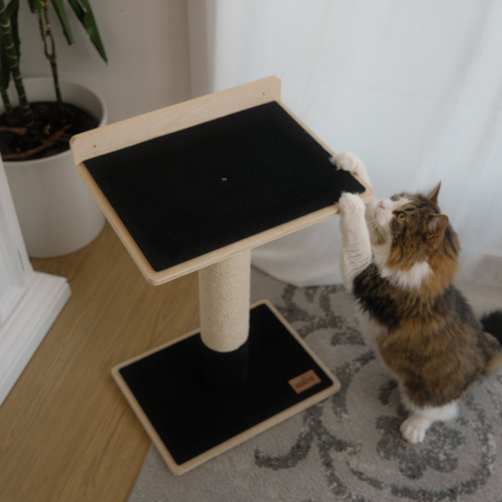 Noba Modern Plywood 1-Level Cat Tree – view 3