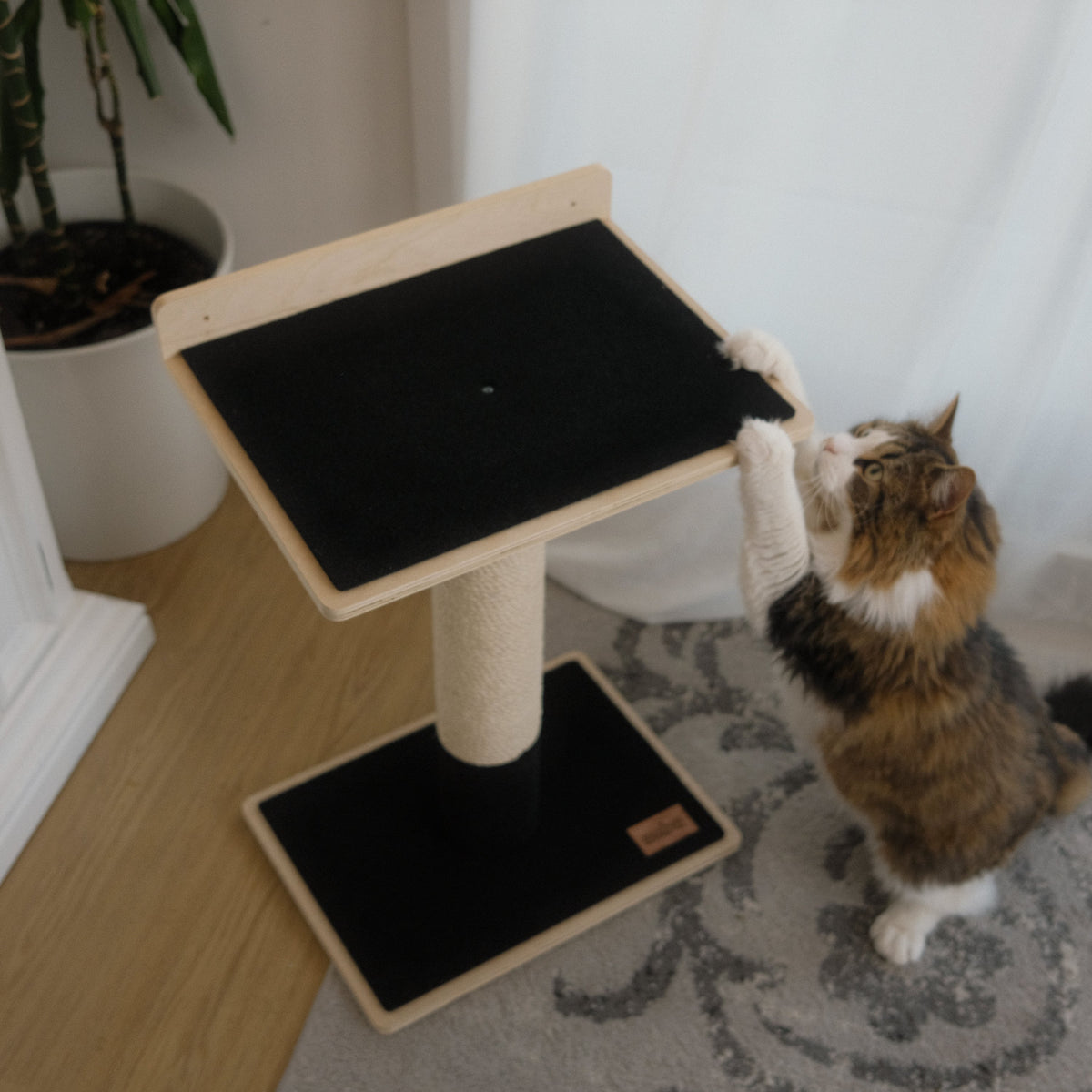 Noba Modern Plywood 1-Level Cat Tree – view 3
