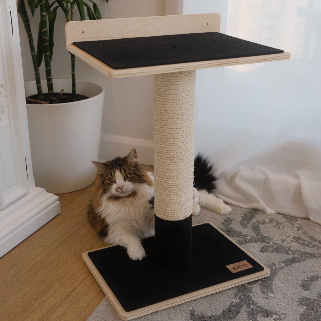 Noba Modern Plywood 1-Level Cat Tree – view 8