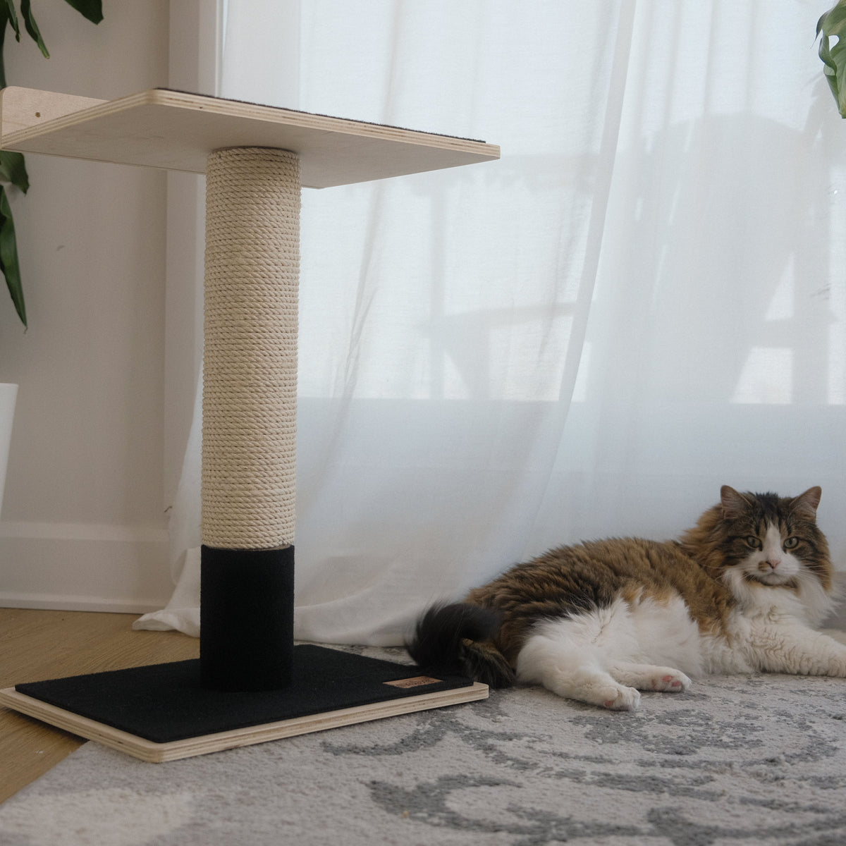 Noba Modern Plywood 1-Level Cat Tree – view 10