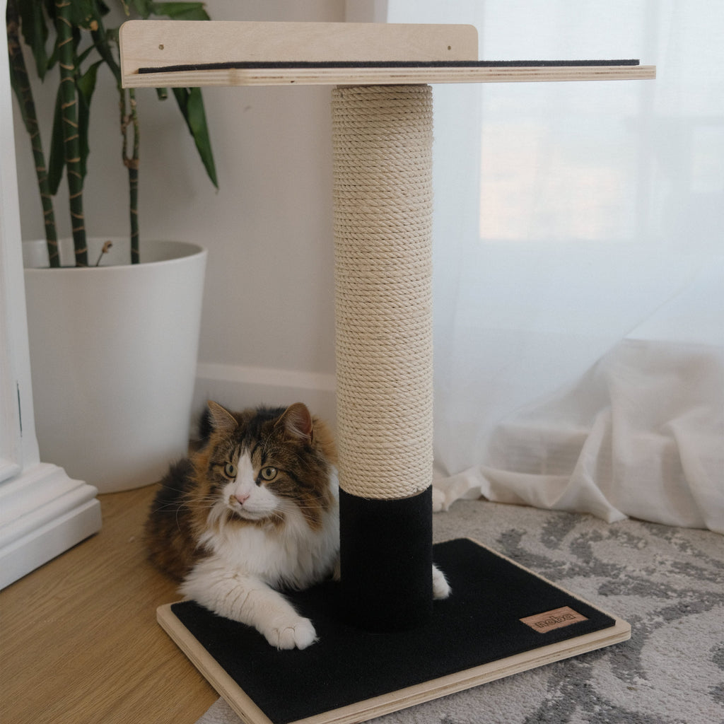 Noba Modern Plywood 1-Level Cat Tree – view 9