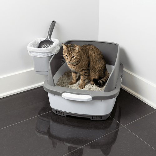 Cateco Odour-Eliminating Litter box - Complete Starter Kit – view 2