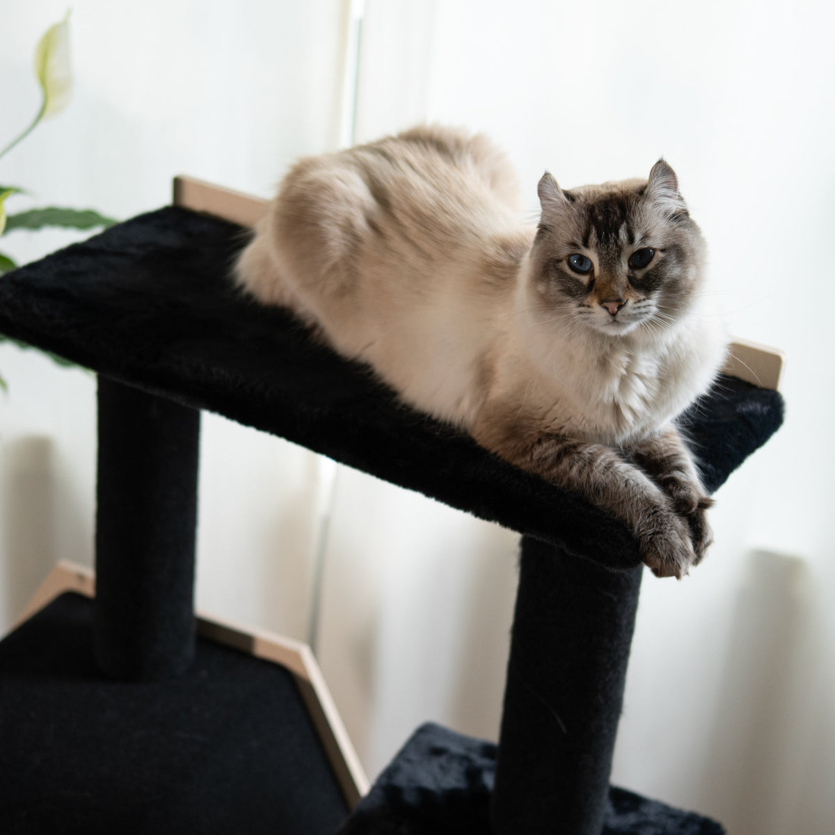 Hexagon House - 4-Level Cat Tree – view 4