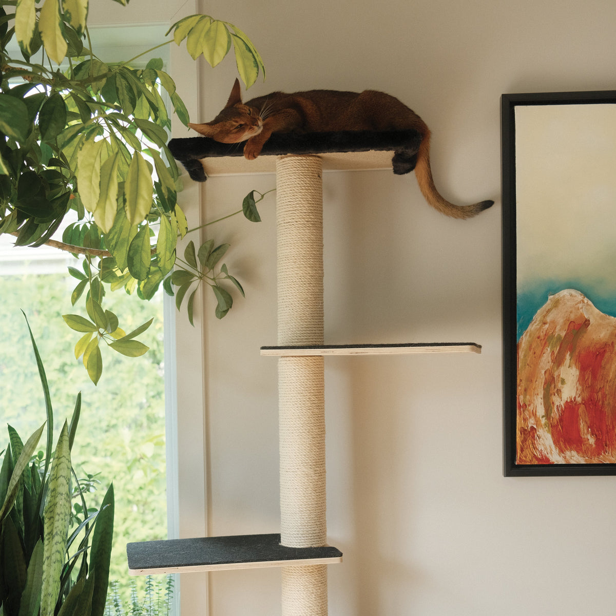 Noba Mural System Kit- The Vertical Playground – view 2