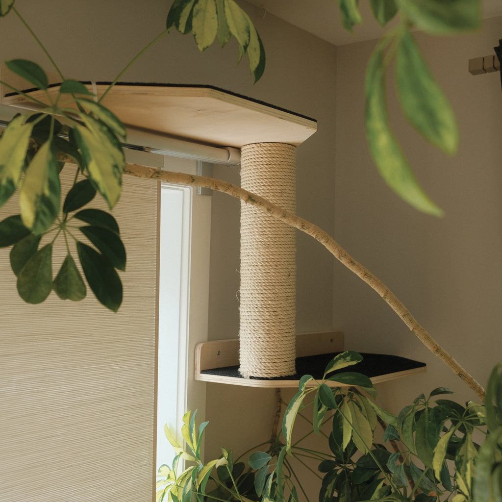 Noba Mural System Kit- The Vertical Playground – view 5