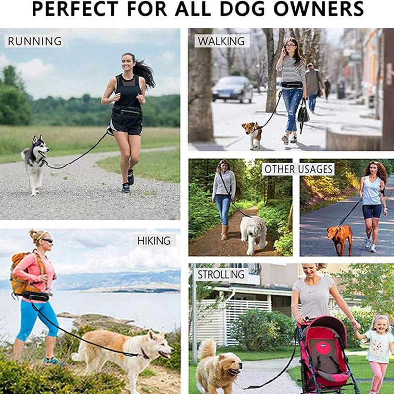 Hands-free bungee dog leash with waist belt — product view 3