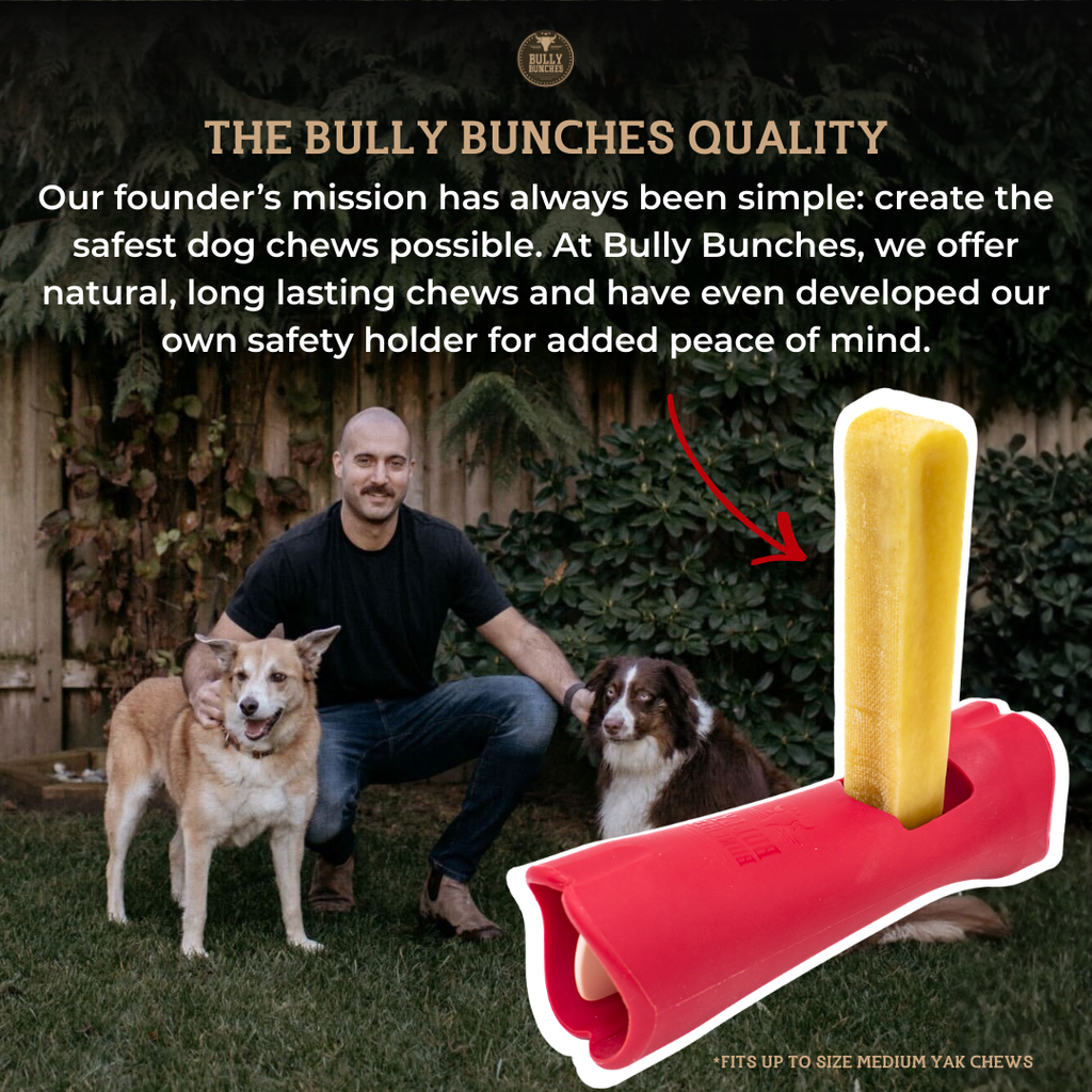 Himalayan Yak Chew (EXTRA LARGE)